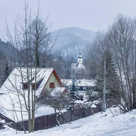 Wassermann Rejstejn