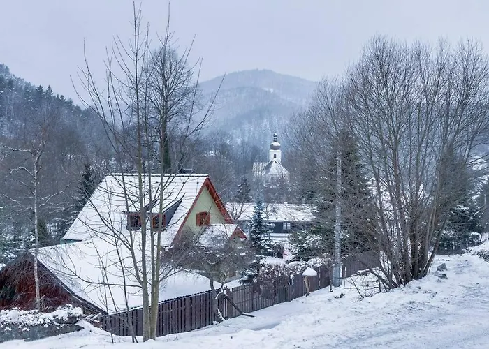 Wassermann Rejstejn