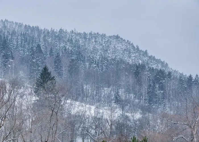 Wassermann Rejstejn